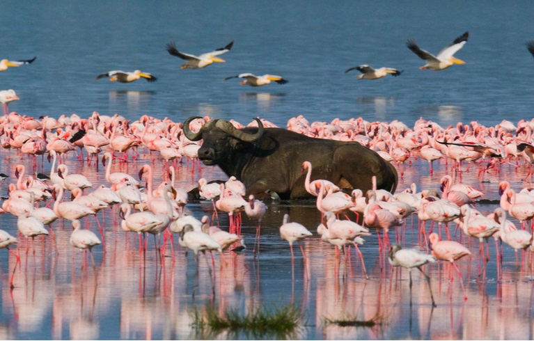 Lakes, Kenya