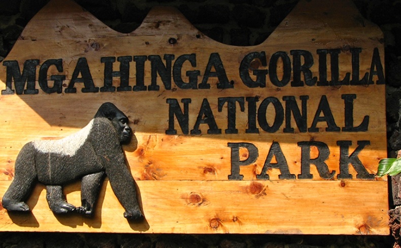 Mgahinga Gorilla National Park