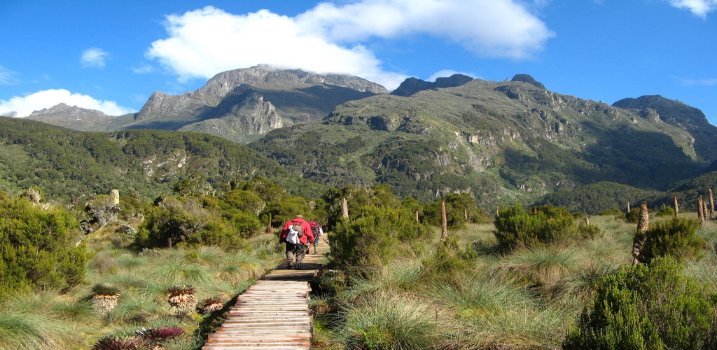 Rwenzori Mountain