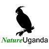 lakato-safaris_nature_uganda