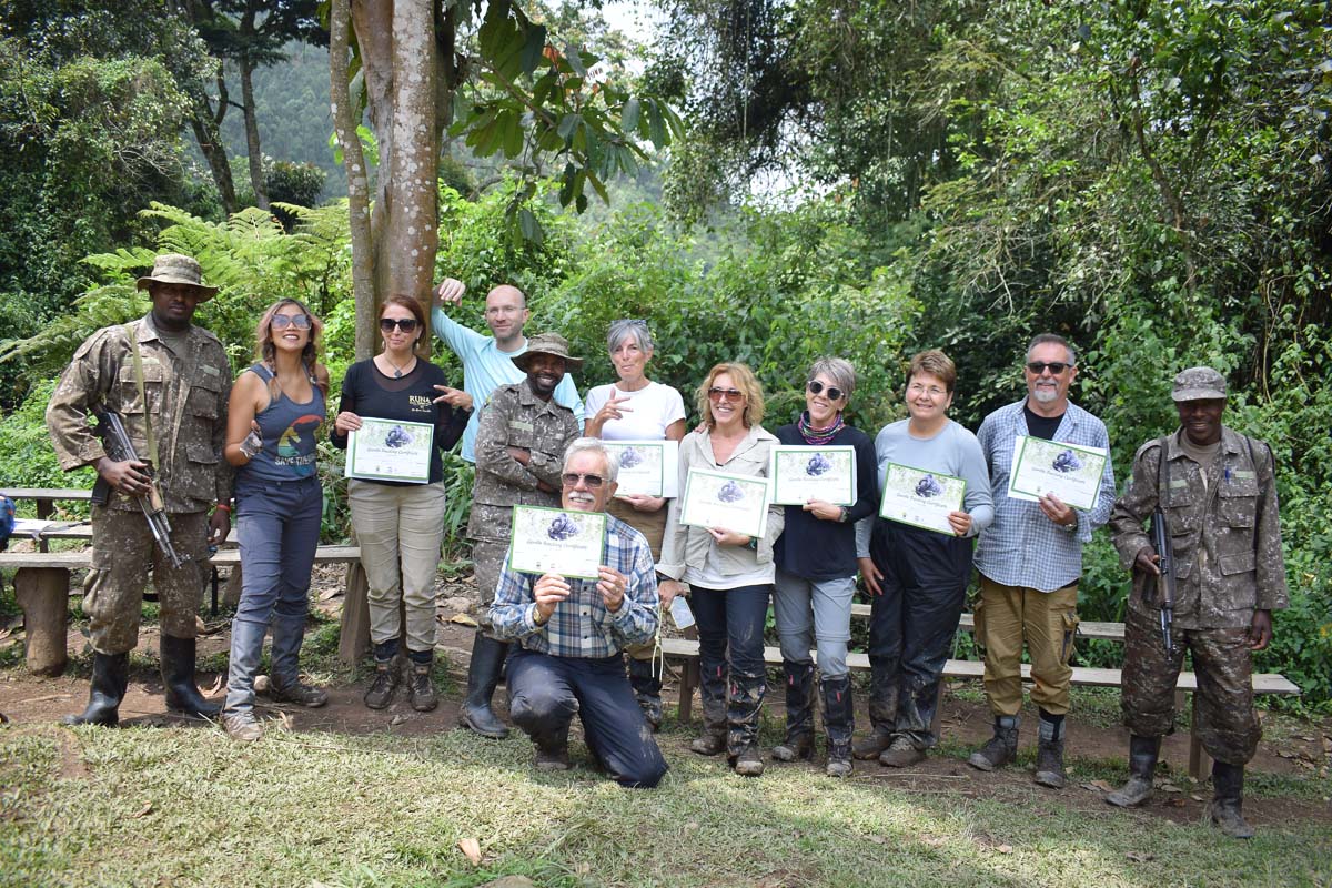 Bwindi, Bwindi Impenetrable Forest, Gorilla, Habituation