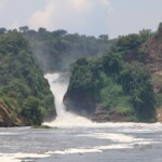 Murchison falls national park