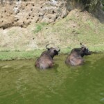 ????????????????????????????????????