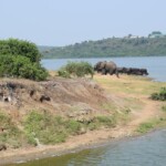 ????????????????????????????????????