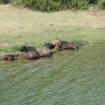 ????????????????????????????????????