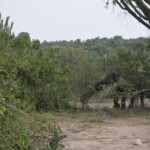 ????????????????????????????????????