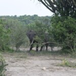 ????????????????????????????????????