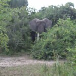 ????????????????????????????????????