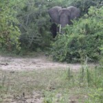 ????????????????????????????????????