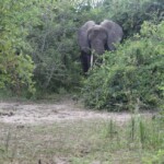 ????????????????????????????????????