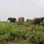 ????????????????????????????????????