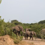 ????????????????????????????????????