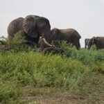 ????????????????????????????????????