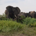 ????????????????????????????????????