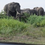 ????????????????????????????????????