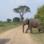 ????????????????????????????????????