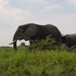 ????????????????????????????????????