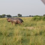 ????????????????????????????????????