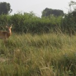 ????????????????????????????????????