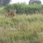 ????????????????????????????????????