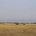 ????????????????????????????????????