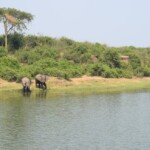 ????????????????????????????????????