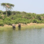 ????????????????????????????????????