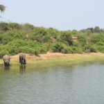 ????????????????????????????????????