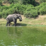 ????????????????????????????????????