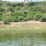 ????????????????????????????????????