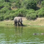 ????????????????????????????????????