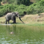 ????????????????????????????????????