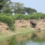 ????????????????????????????????????