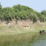 ????????????????????????????????????