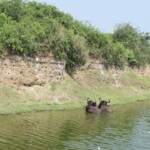 ????????????????????????????????????