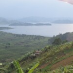 ????????????????????????????????????