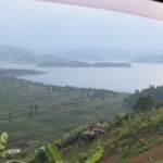 ????????????????????????????????????