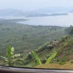 ????????????????????????????????????