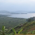 ????????????????????????????????????