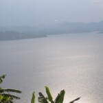 ????????????????????????????????????