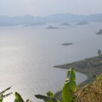 ????????????????????????????????????